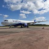 Aviationtag Airbus A320 - Light Blue (Indigo) VT-IDV