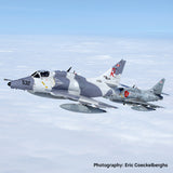 Aviationtag Top Aces Douglas A-4 Skyhawk - C-FGZO